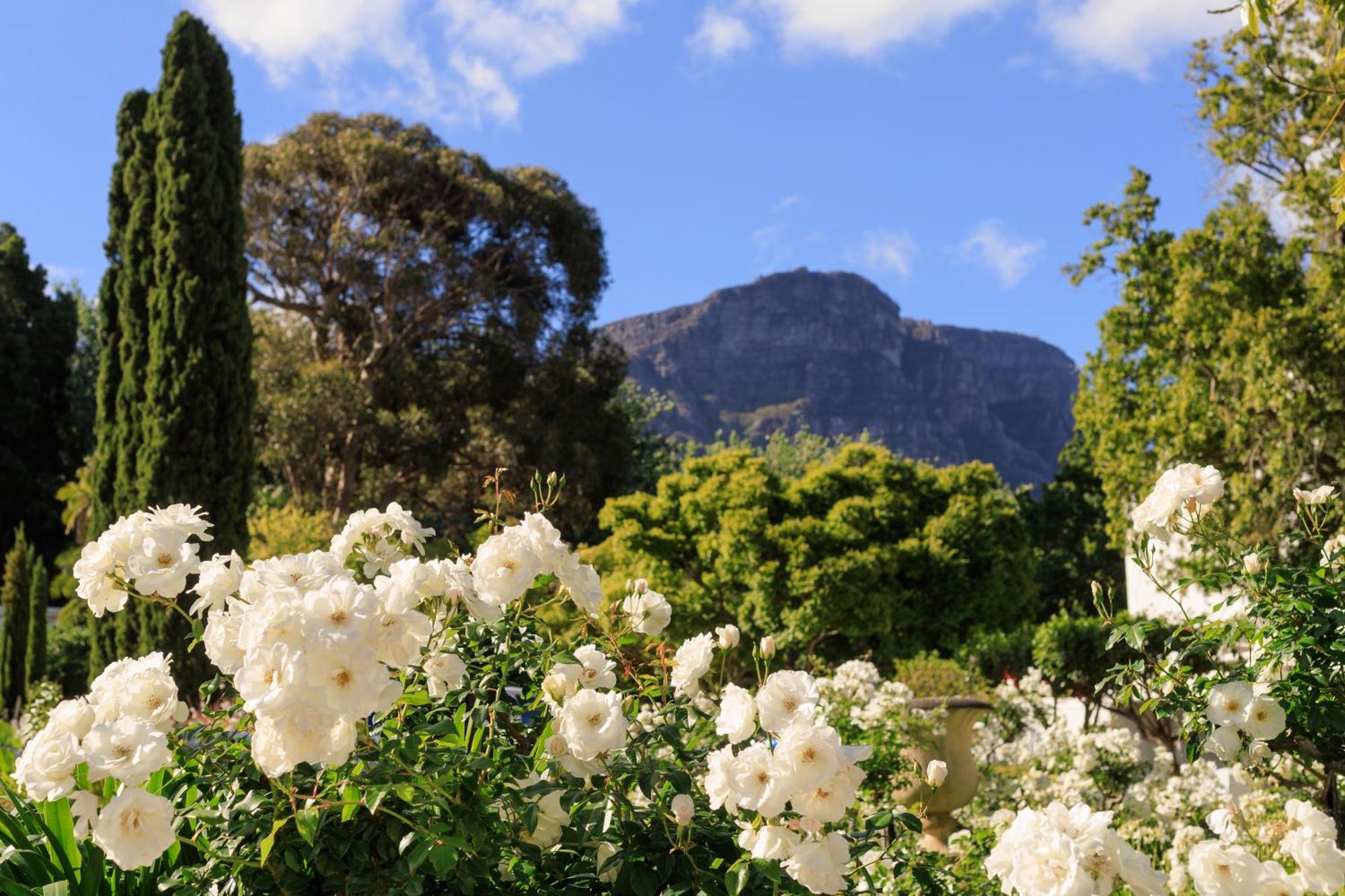 The Cellars-Hohenort Hotel Cape Town Ngoại thất bức ảnh